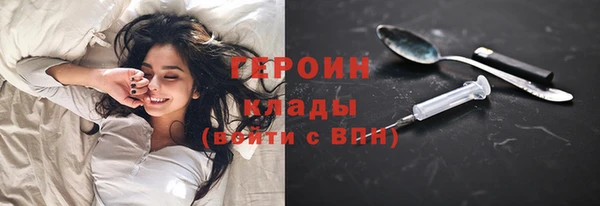 стаф Дмитриев