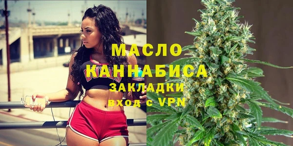 твердый Дмитров