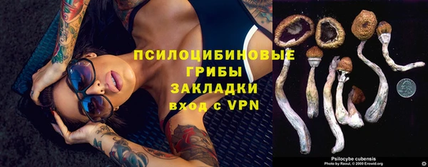 MDMA Premium VHQ Алексеевка