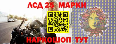 тгк Владивосток