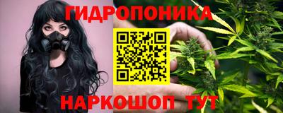 тгк Владивосток