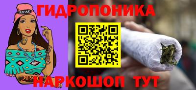 тгк Владивосток