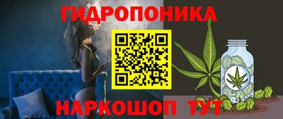 тгк Владивосток