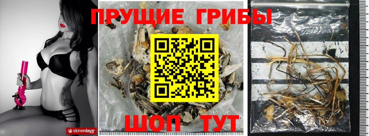 Галлюциногенные грибы Magic Shrooms  Вход с VPN  Нарьян-Мар 